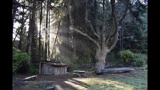 ParkSpeak – Sumeg Village in Patrick’s Point State Park