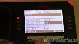 Avaya Phones Basic Use - 9508-9608