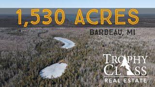 1,530 Acres - 16352 S Scenic Drive, Barbeau, MI - Trophy Class Real Estate