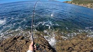 Rock Hopping NZ's Most Beautiful Coastline For BIG FISH