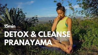 15 MIN Breathwork to Detox & Cleanse Your Body | Kapalbhati + Anulom Vilom