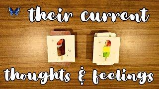 ️‍️‍🩹 WHAT ARE THEIR CURRENT THOUGHTS AND FEELINGS ABOUT YOU?  Timeless Tarot Reading 