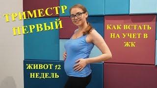 ПЕРВЫЙ ТРИМЕСТР.  КАК ВСТАТЬ НА УЧЕТ В ЖЕНСКУЮ КОНСУЛЬТАЦИЮ. ЖИВОТ 12 НЕДЕЛЬ.