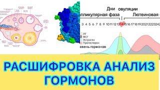 ХОМИЛАДОР БУЛИШ УЧУН ГОРМОНЛАР НОРМАДА КАНЧА БУЛИШИ КЕРАК