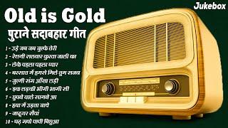 Old is Gold | पुराने सदाबहार गीत | उड़े जब जब जुल्फे तेरी |  रेशमी सलवार कुरता जाली का | Superhit