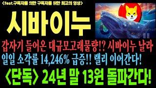 시바이누 시바이누코인 시바이누코인전망 shib doge 트럼프 게리갠슬러 코인전망 비트코인 이더리움 도지코인