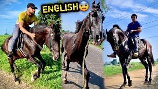 STALLION Ki English Ride Krne Mai Rona Aa Gya | Sab Kuch Fail Hogya 