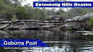 Swimming with the water lilies in the Goburra Pool in the Heathcote National Park, Sydney