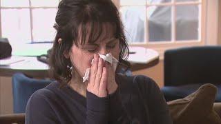 Persistent sneezes? Physician assistant shares tips for allergy relief