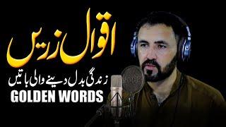 Aqwal Zareen In Urdu | Golden Words | Urdu Quotes | Life Changing Words | Dastani Tv