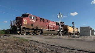 Railfanning the CPKC Rosenberg Sub 9/21/24 w/ the Strathcona's Emblem Unit