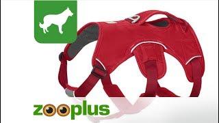 Ruffwear Web Master Dog Harness Red | zooplus.co.uk