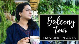 Hanging Plants Balcony Tour | Home gardening | Balcony plants