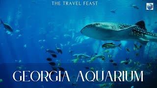 Georgia Aquarium | Largest Aquarium in US| Atlanta | Walkthrough Aquarium 4K Virtual Walk| Georgia