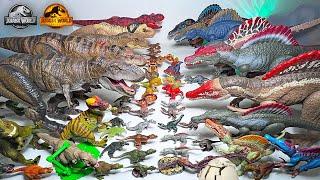 MEGA Spinosaurus VS T-Rex Toys Collection! Jurassic World Dinosaurs Toys Collection Battle