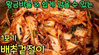 1포기 배추겉절이 맛있게 담그는법 명절김치 한번 담아보세요