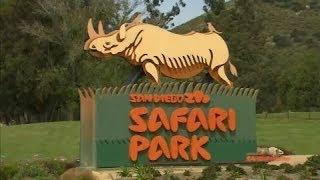 San Diego Zoo Safari Park