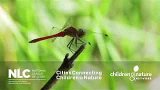 Cities Connecting Children to Nature