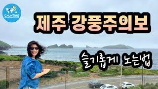 [제주서쪽여행] 날씨 안좋을때 실내만 골라서 놀기