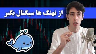 آموزش سیگنال گرفتن از نهنگ های کریپتو  آموزش کامل ابزار dexcheck برای ردیابی نهنگ و تریدر های برتر