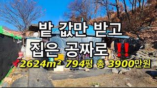 205번밭 값만 받고 집은 공짜로 드립니다 #의성부동산 #의성땅 #의성땅매매 #의성땅매물 #의성땅매물 #의성토지 #의성토지매매 #의성주말농장지 #의성주말농장