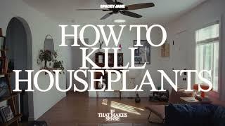 Spacey Jane - How to Kill Houseplants (Official Visualizer)