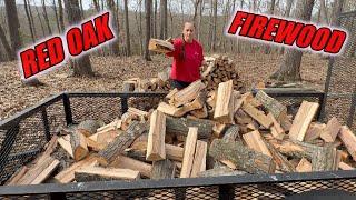 CLEARING OFF GRID CABIN SITE  RED OAK FIREWOOD