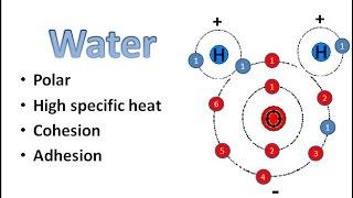 Water Chemistry