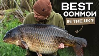 The Story Of Bullnose | A HUGE Common Carp | Korda Mindset