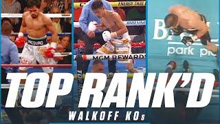 The Best Walkoff Knockouts You'll See | TOP RANK'D