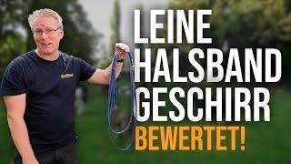 Das sind die BESTEN Halsbänder, Leinen und co.  Hundetrainer erklärt! -   TGH 436