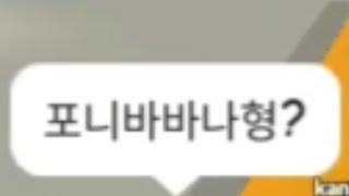 포니바나나 형이라고 들었습니다.