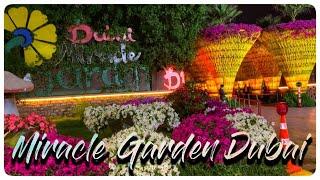 Miracle Garden Dubai 2022 | Mojowight | Flower show dubai | Global village dubai 