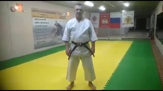 ОТЗЫВ РИНО СПОРТ. БУДО МАТЫ ЛАСТОЧКИН ХВОСТ, МОСКВА.