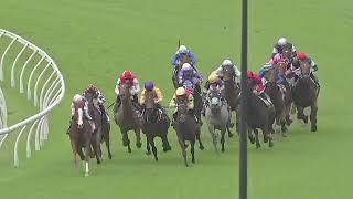 JUST FOLK WINS THE 2024 LORD MAYOR'S CUP AT EAGLE FARM