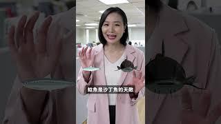 鯰魚效應：每家公司都有3種員工，但有時需要第4種｜商業百科