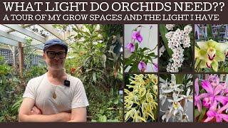 What light do orchids need?? A tour of my grow spaces!