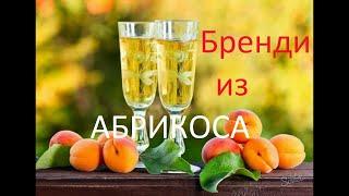 Бренди из абрикоса. Apricot brandy