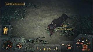 Fallout 4 dog died in The Slog tarberry pool