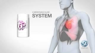 Proflavanol® C100 AU (en) | USANA Video