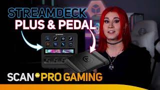 Elgato Stream Deck+ & Pedal - Streamer Rage Darling Check them out!