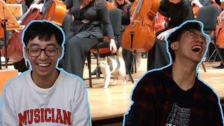 TwoSetViolin Archive - THIS CAT STOLE THE SHOW AT AN ORCHESTRA CONCERT!!!