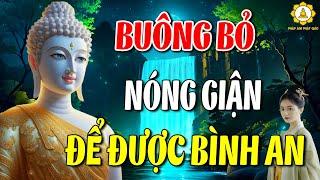 Buông Bỏ Để Bình An:  Lời Phật Dạy Giúp Vượt Qua Nóng Giận, Tìm Lại Tĩnh Lặng Nội Tâm