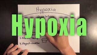 Hypoxia in Helicopter Pilots