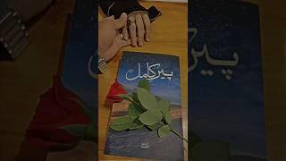 Peer e kamil #salar sikandar #imama hashim #novel #subscribe #foryou