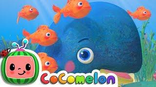 Baby Blue Whale Song | CoComelon Nursery Rhymes & Kids Songs