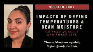 Impacts of Drying Temperatures & Bean Moisture | Yimara Martinez Agudelo