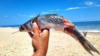 REVELEI O SEGREDO para VOCÊ encher o BALDE de PEIXES na PESCARIA de PRAIA.