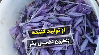 خرید زعفران امسالی از کشاورز با بالاترین کیفیت و مناسب ترین قیمت