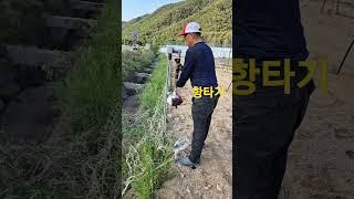 항타기로 고라니망 설치